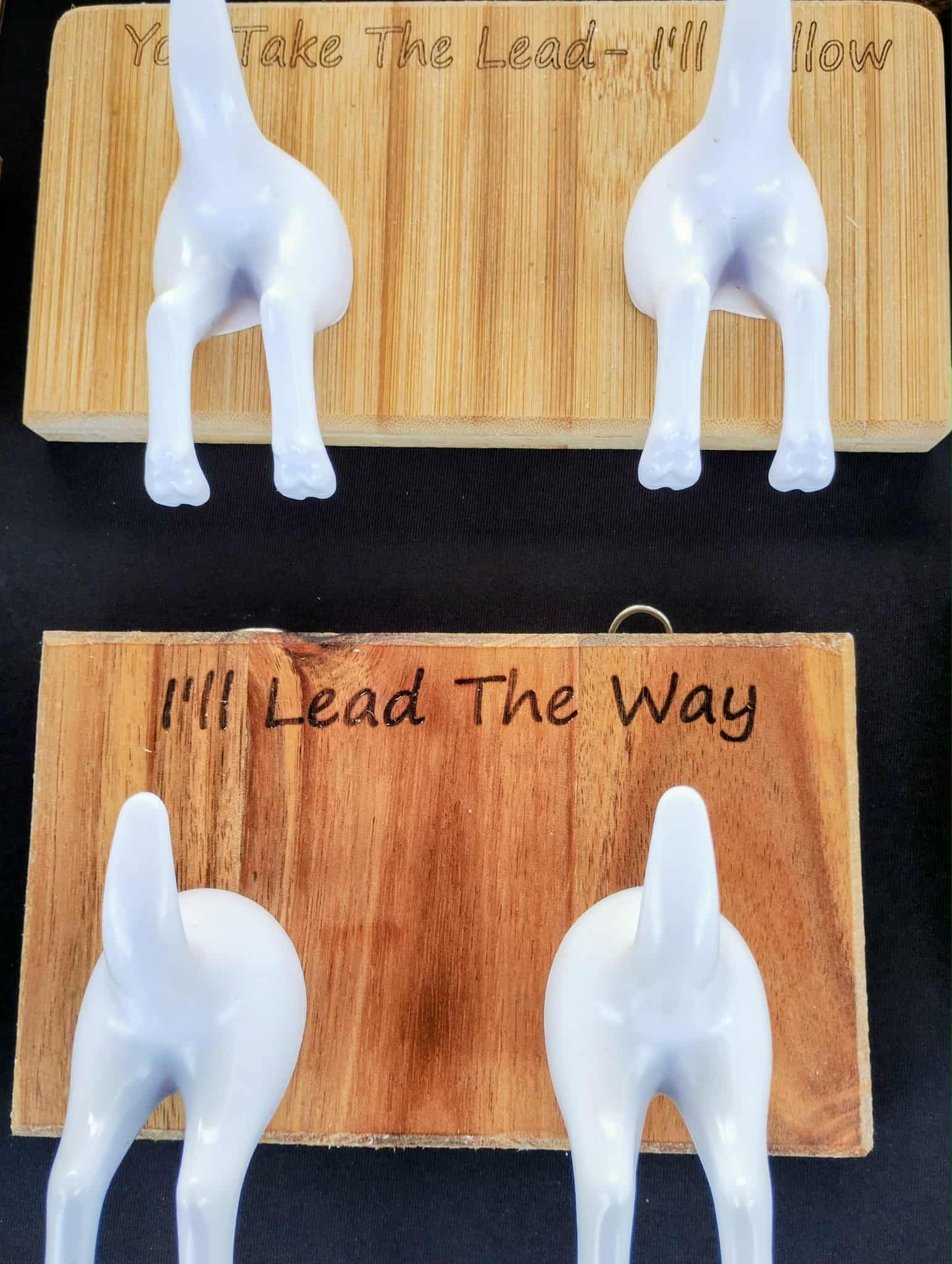 Double Dog Lead Holder